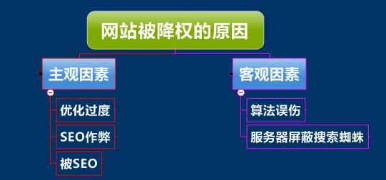 网站降权原因